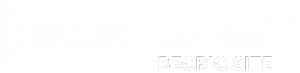 becric-logo